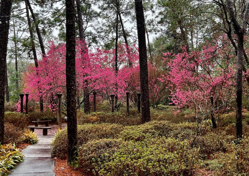 Mobile Botanical Gardens, United States